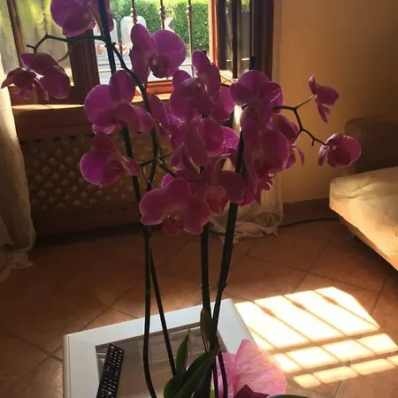 Villa Lugi-kael Sirmione